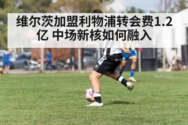 维尔茨加盟利物浦转会费1.2亿 中场新核如何融入