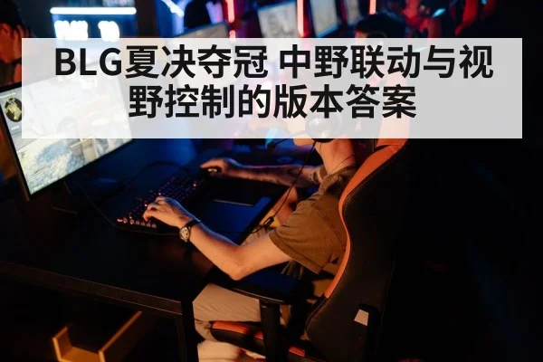 BLG夏决夺冠 中野联动与视野控制的版本答案