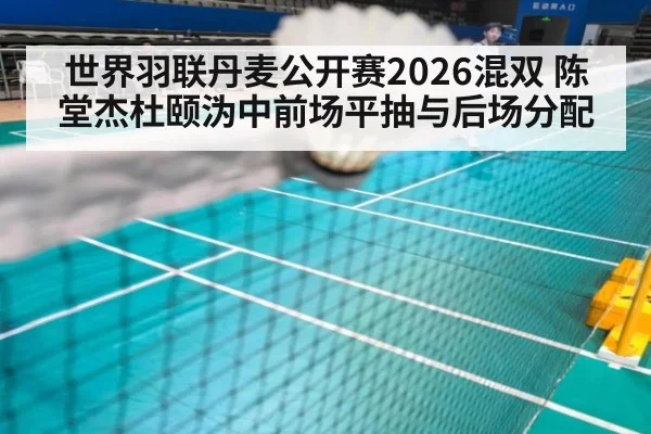 世界羽联丹麦公开赛2026混双 陈堂杰杜颐沩中前场平抽与后场分配
