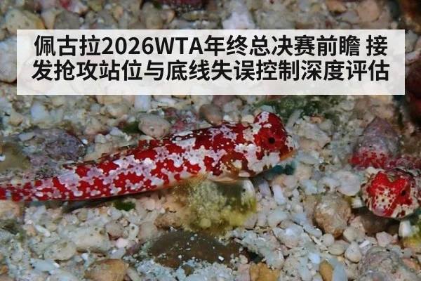 佩古拉2026WTA年终总决赛前瞻 接发抢攻站位与底线失误控制深度评估